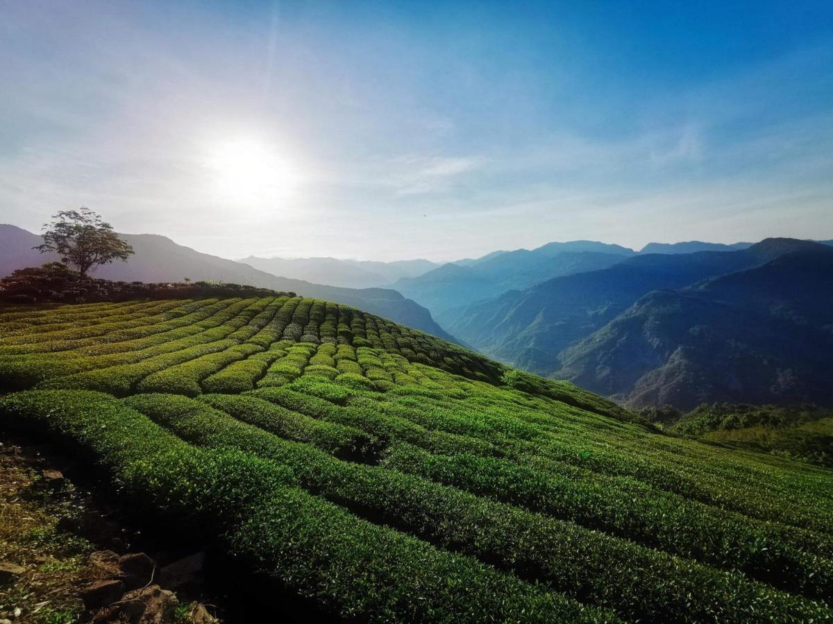 Alishan Tea Homestay Leye Ngoại thất bức ảnh